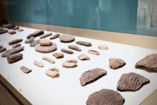 石器時代出土文物(收藏照片)