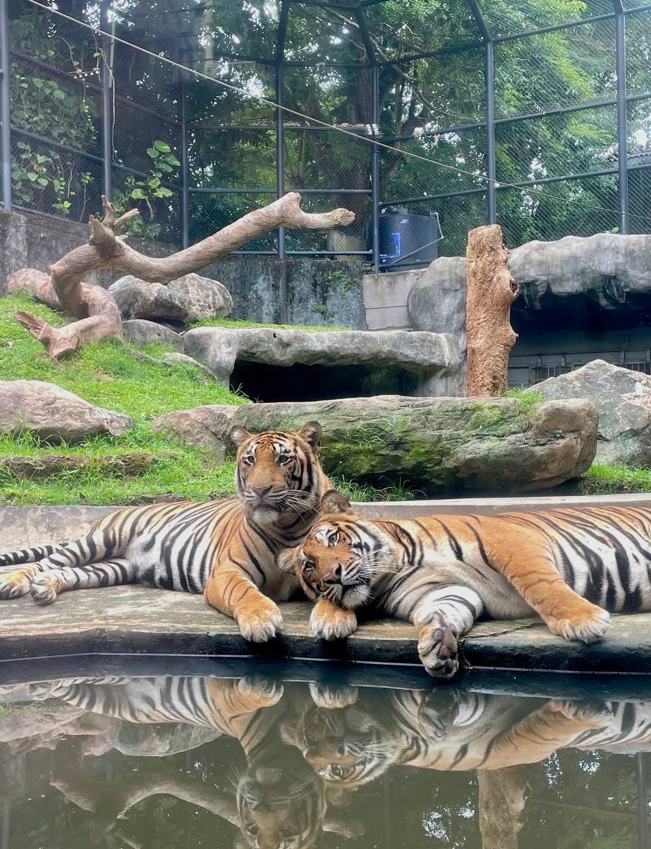 西貢動植物園圖片|資料圖片