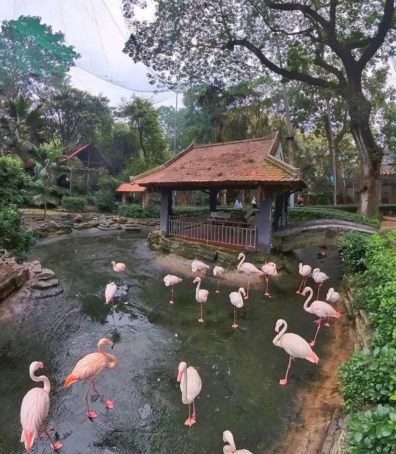 西貢動植物園圖片|資料圖片
