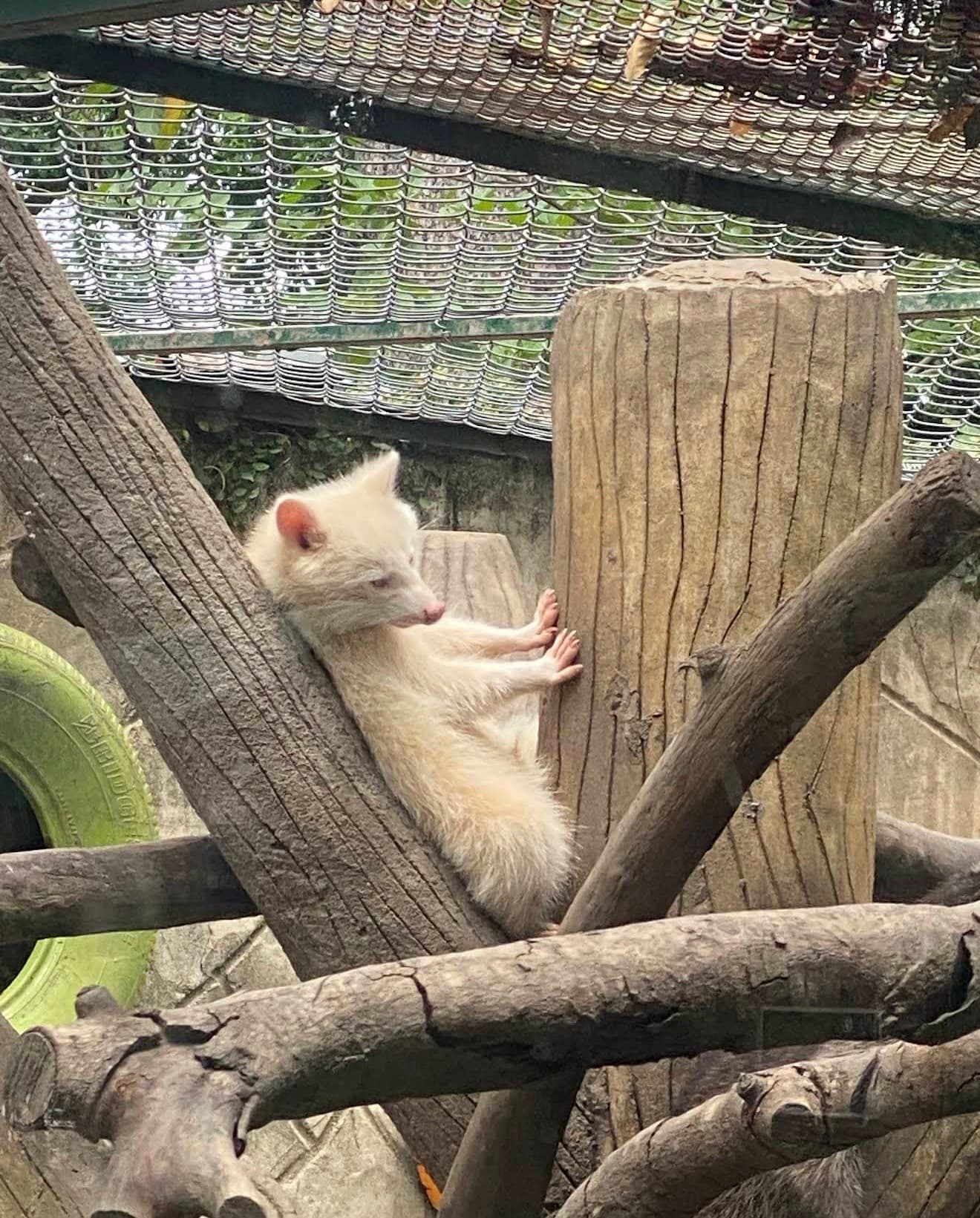 西貢動植物園圖片|資料圖片