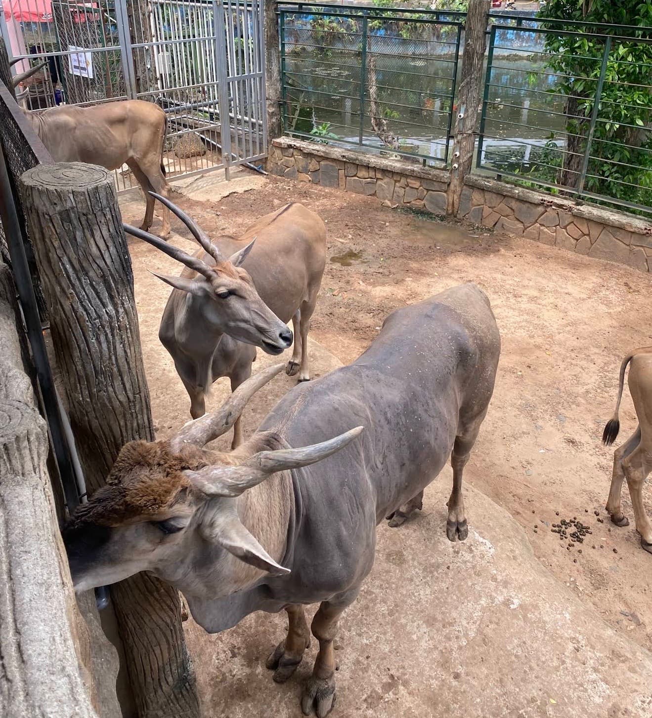 西貢動植物園圖片|資料圖片