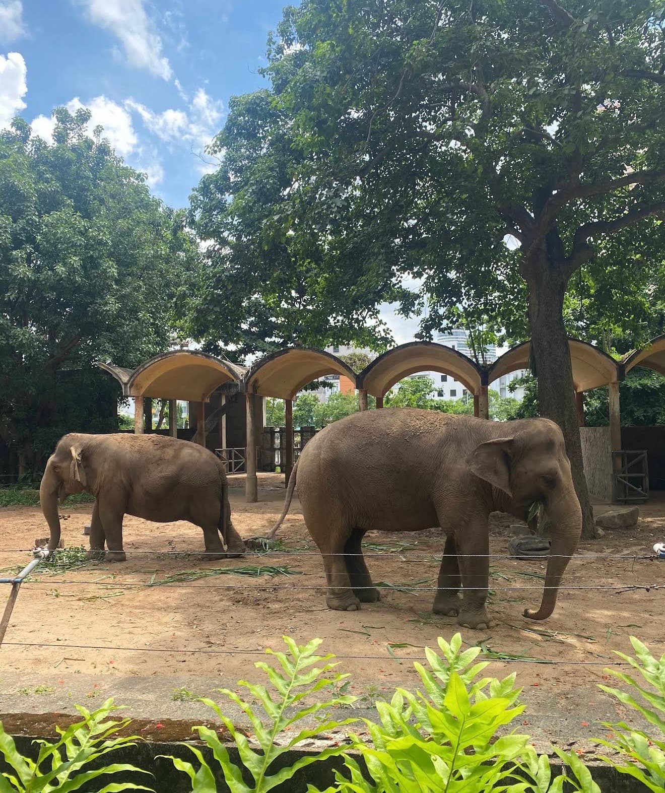 西貢動植物園圖片|資料圖片
