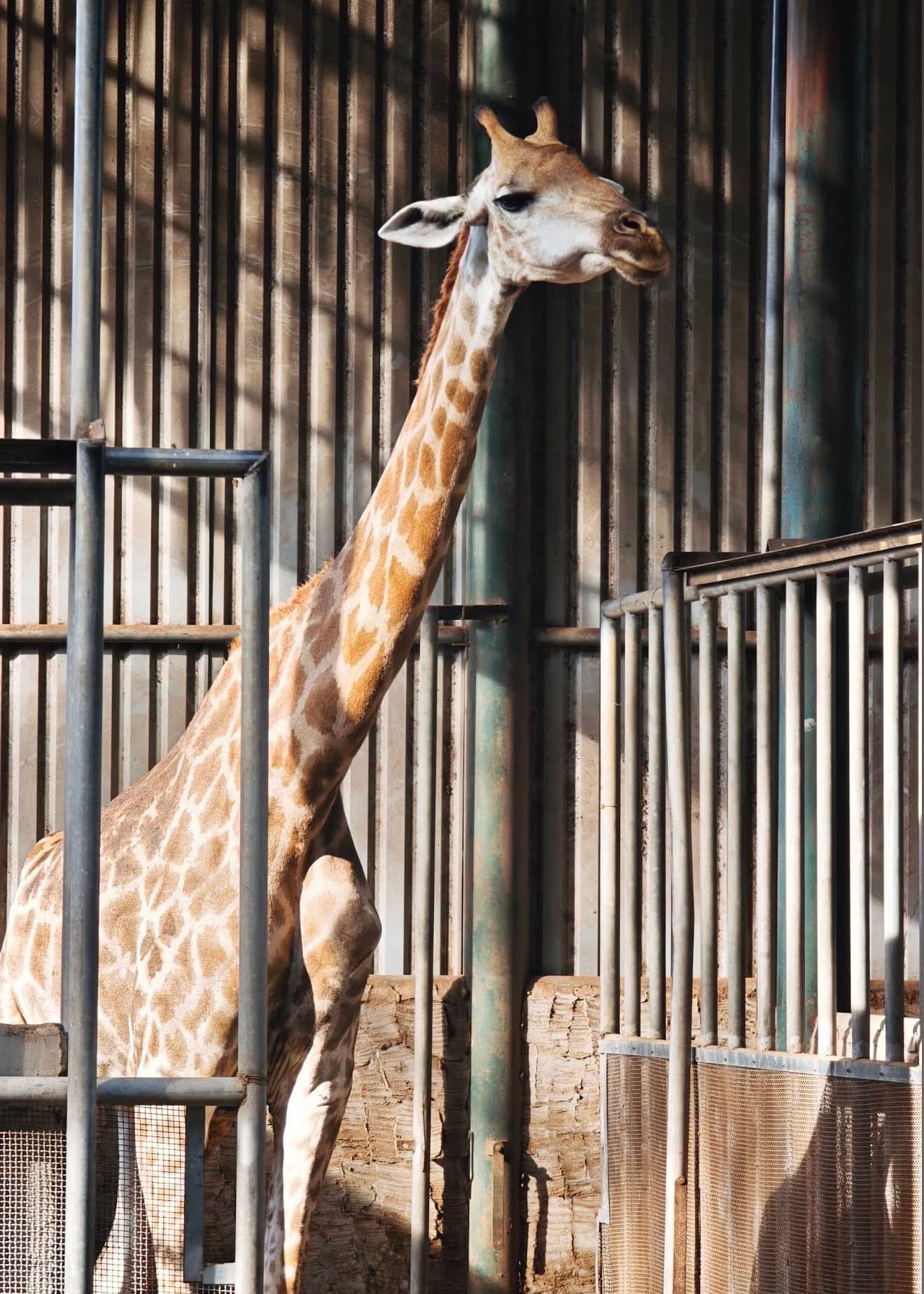 西貢動植物園圖片|資料圖片