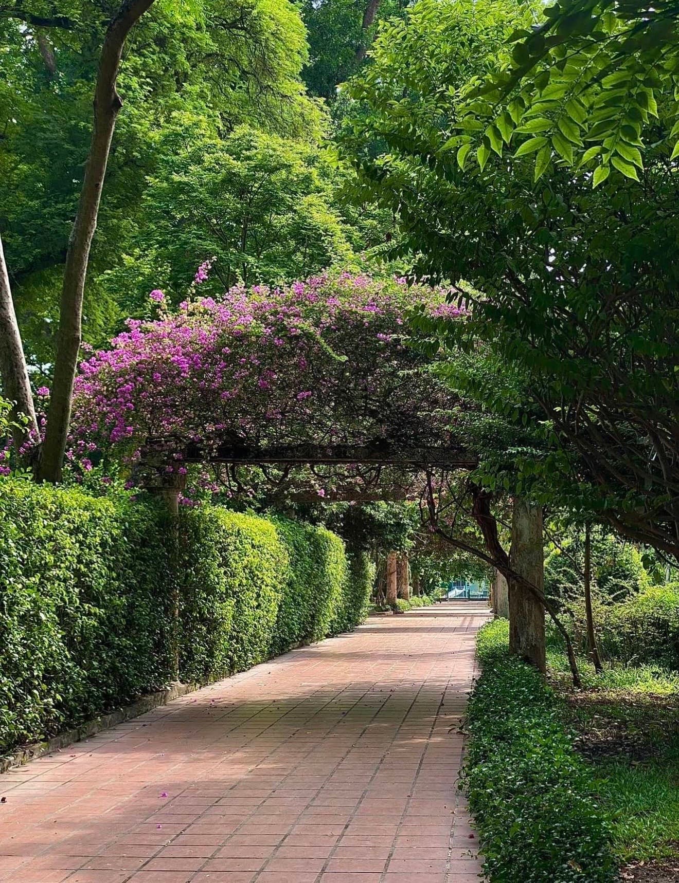 西貢動植物園圖片|資料圖片