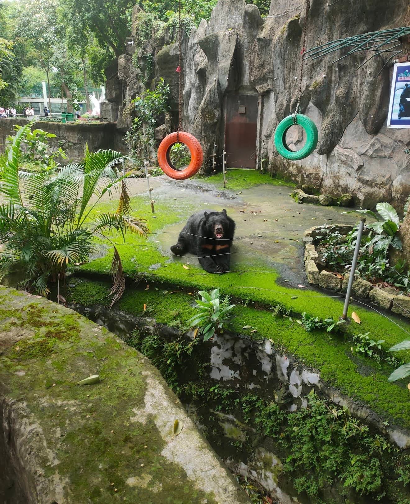 西貢動植物園圖片|資料圖片