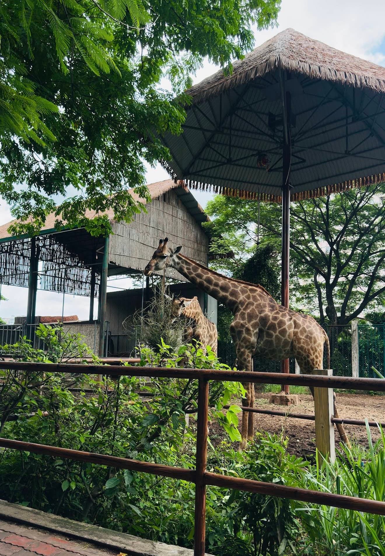 西貢動植物園圖片|資料圖片