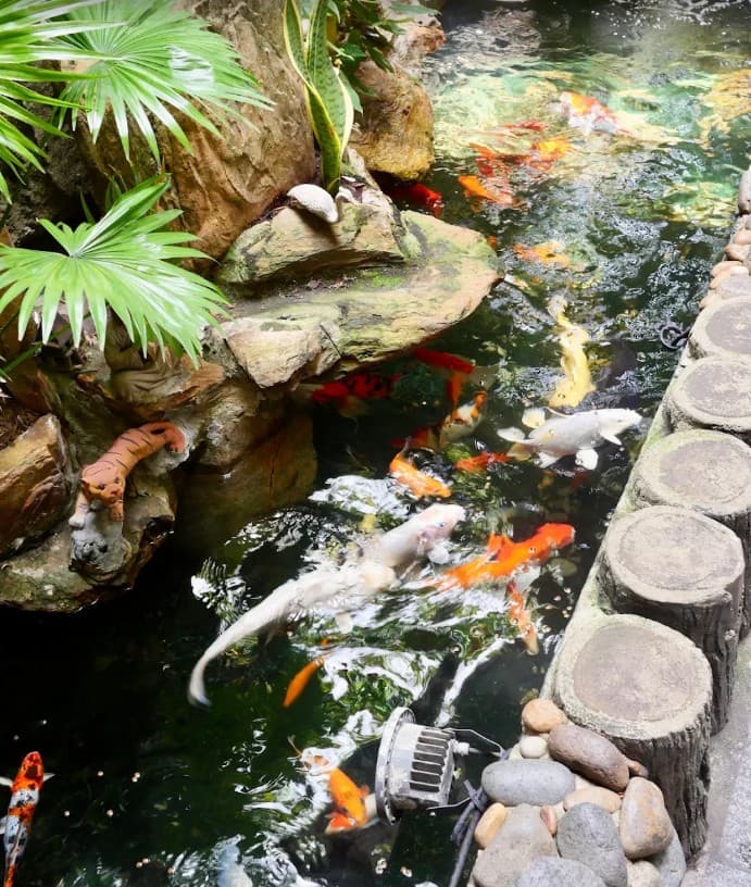 法華寺圖片|資料圖片